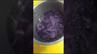 Red cabbage natural indicator part1 [upl. by Hallette52]