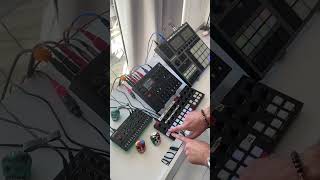 Explaining my live setup 🎛️ torsot1 elektron syntakt torsoelectronics [upl. by Eikciv843]