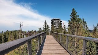 Bachledova dolina  chodník korunami stromov a rozhľadňa 1572021 [upl. by Allimrac811]