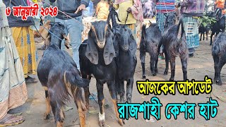 06012024 রাজশাহী কেশর হাট থেকে উন্নত জাতের ক্রষ ছাগলের দাম জানুন। Goat Market Price [upl. by Fasano755]