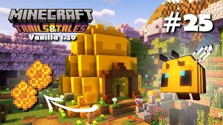 25 Back to Business with BEES Minecraft Vanilla 120 Lets Play [upl. by Anolahs]