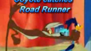 Coyote catches Road Runner [upl. by Namso]