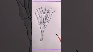 how to draw penicilliumfungi diagramfungi drawing shorts viral videoviral [upl. by Clarke]