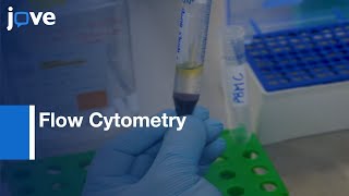 Flow CytometryBased Cytotoxicity Assay to Assess NK Cell Activity  Protocol Preview [upl. by Lletram]