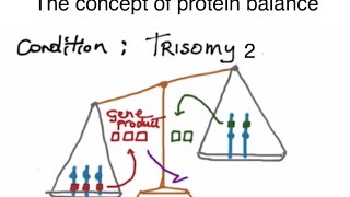 Meiosis nondisjunction and aneuploidy [upl. by Silin]