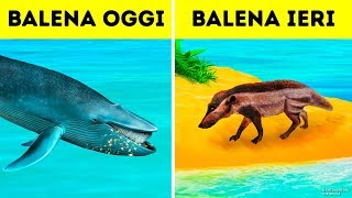 Perché Le Balene Sono Diventate Gli Animali Più Grandi Di Sempre [upl. by Lukasz]