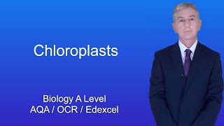 A Level Biology Revision quotChloroplastsquot [upl. by Idalina]