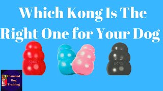 Kong Puppy vs Kong Classic Must see How to Choose The Right Color and Size Kong For Your Dog [upl. by Hiram320]