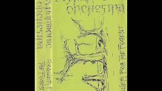 Disharmonic Orchestra  Requiem for the Forest 1988 [upl. by Aineg933]