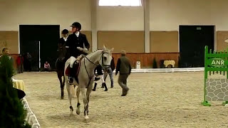 Potęga skoku w damskim siodle  Sidesaddle jump in Janow Podlaski [upl. by Atonsah]