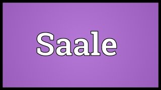 Saale Meaning [upl. by Eintrok]