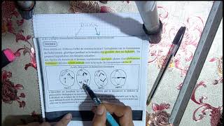 exercice sur le transmission de linformation génétique bac 2 scientifique en arabe et en français [upl. by Nerret]