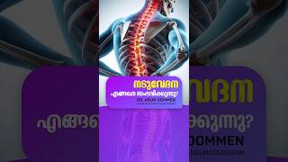 നടുവേദന അനുഭവിക്കാറുണ്ടോ BackPain DrArunOommen [upl. by Aruabea]