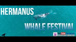 Whale Festival 2018 Hermanus Cape Town  Drone Shots [upl. by Namyw342]