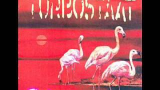 Turbostaat  Flamingo  01  Drei Ecken ein Elvers [upl. by Naek]