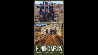 HUNTING IN AFRICA  WEEKLY VLOG  EPISODE 9 [upl. by Ahsil384]