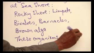 ADAPTATION OF ORGANISMS TO MARINE HABITAT PART 1 [upl. by Stavros]