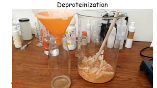 Preparing chitosan from various sources [upl. by Dobb242]