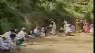 Ayoob Tarish  Yemeni Song [upl. by Tram]