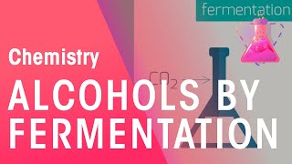 Making Alcohols By Fermentation amp From Ethane  Organic Chemistry  Chemistry  FuseSchool [upl. by Durrej454]