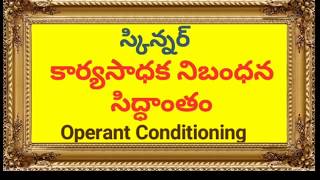 స్కిన్నర్ కార్యసాధక నిబంధన సిద్ధాంతం చాశ్రీ సైకాలజీ Operant Conditioning Theory యాంత్రిక నిబంధన సిద [upl. by Truda189]