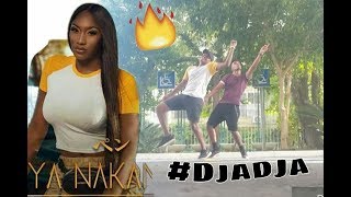 Aya Nakamura  Djadja  Dance Choreography 2018 [upl. by Toth728]