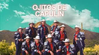 Grupo Laberinto – Ojitos de Capulín Letra Oficial [upl. by Merat]