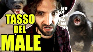 Il tasso del MALE  SCIENZA BRUTTA [upl. by Casilda259]