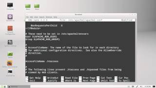 accessing amp editing config files on Linux Mint 13 [upl. by Aihsad]