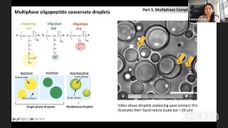 Coacervates in Prebiotic Chemistry  Saehyun Choi  McCauley Meyer  Christine Keating [upl. by Aikram]