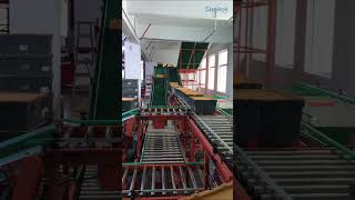 Box handling lifting conveyor roller conveyor Material handling equipment automation equipment [upl. by Kara-Lynn591]