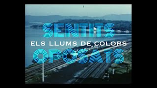 Els llums de colors  Sentits Oposats ft Renaldo amp Clara Lyric Video [upl. by Dnomed]