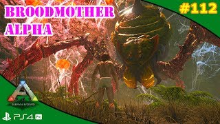 BROODMOTHER ALPHA SOLO  ARK 112  Servidor Oficial PVE [upl. by Thane841]