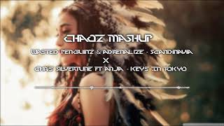 Wasted Penguinz amp Adrenalize x Chris Silvertune Feat Anja Chaoz MashUpHQ [upl. by Damarra]