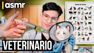 ASMR español roleplay de veterinario [upl. by Carlee954]