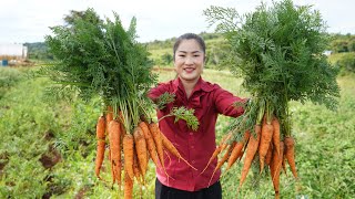 Countryside Life TV Harvest carrot and cooking for children  Yummy carrot recipes [upl. by Ellednahs]