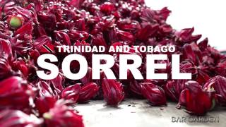 Sorrel from Trinidad amp Tobago [upl. by Olathe221]