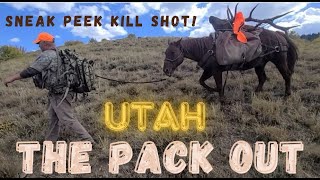 911 PHONE call UTAH BIG BULL Pack out Sneak peek of full hunt with Keith Ward [upl. by Anida]