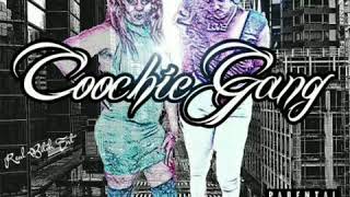 Gucci Gang Remake Coochie Gang [upl. by Adamo471]