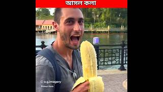 কখনও ভেবেছেন কি এতো বড় কলার বিচি ছোট কেন🍌 Real biggest banana fruits shorts facts [upl. by Matthews]