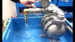 RANpump 1 Aluminium Diaphragm Pump Air Valve Leak Test [upl. by Sankaran]