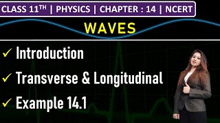 Class 11th Physics  Waves  Transverse amp Longitudinal Waves  Example 141  Chapter 14  NCERT [upl. by Magel204]