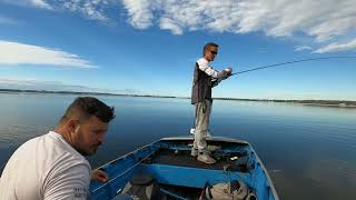 bream session on tuggerah lakes bfs fishing daiwa gekkabijin [upl. by Acirat425]