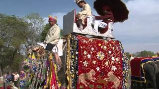 ELEPHANT FESTIVAL INDIA 2011 [upl. by Elgna850]