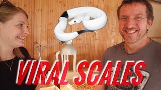 Rencontre avec Viral Scales au SALON TERRARIO NIEVRE 2018  Ep 3 [upl. by Pax]