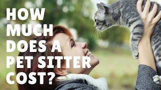 How Much Does A Pet Sitter Cost [upl. by Assiluj]