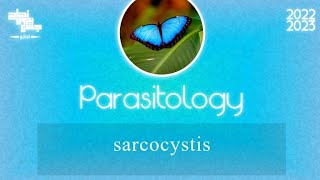 L1part 3 Sarcocystis Parasitology [upl. by Nibroc]