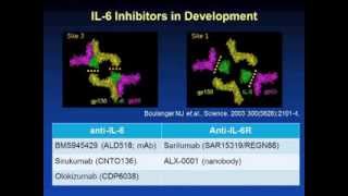 IL6 Targeting [upl. by Cinderella]