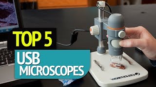 TOP 5 USB Microscopes [upl. by Aineles662]