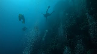 The deadly and beautiful Blue hole Dahab Diving Red Sea Egypt Dahab 2021 Part 6 [upl. by Roht609]